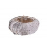 Květináč BIRCH BARK, kulatý, 36 cm