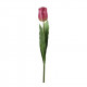 Květina TULIP, tmavě růžová, 60 cm