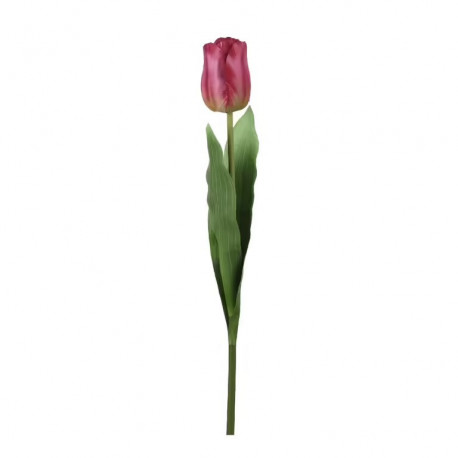 Květina TULIP, tmavě růžová, 60 cm