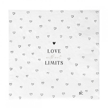 Ubrousky LOVE WITHOUT LIMITS, bílá, 20 ks