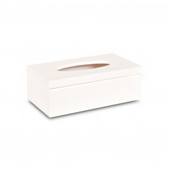 Dřevěná krabička na kapesníky bílá s panty